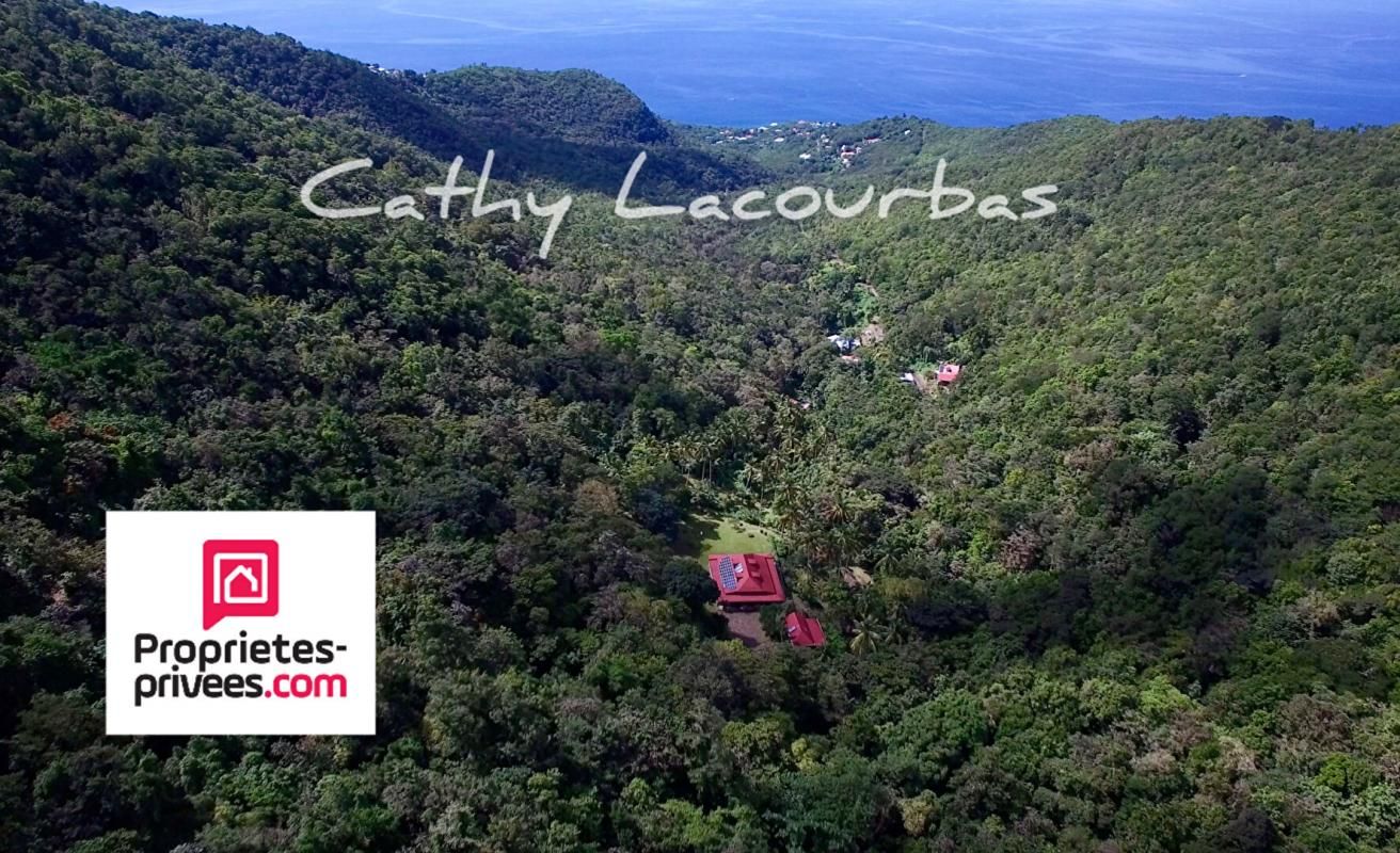 Unique - Habitation historique sur 3 hectares - Guadeloupe