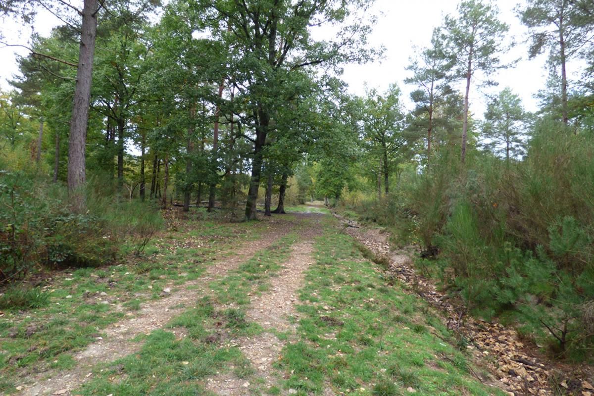 NEUVY-SUR-BARANGEON Propriété rurale 3