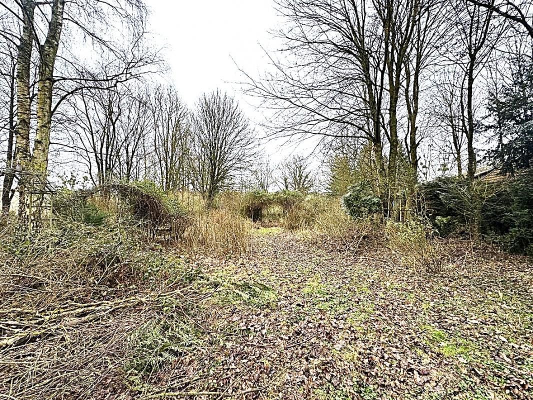 Terrain à bâtir à Roy-Boissy -Un havre de paix en pleine nature ?