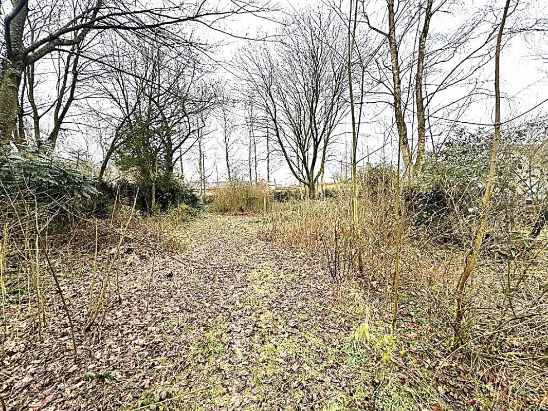 MARSEILLE-EN-BEAUVAISIS Terrain à bâtir à Roy-Boissy -Un havre de paix en pleine nature ? 3