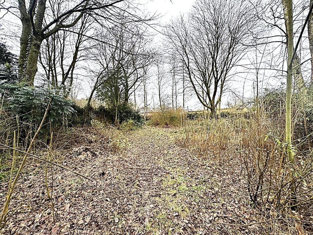 MARSEILLE-EN-BEAUVAISIS Terrain à bâtir à Roy-Boissy -Un havre de paix en pleine nature ? 4