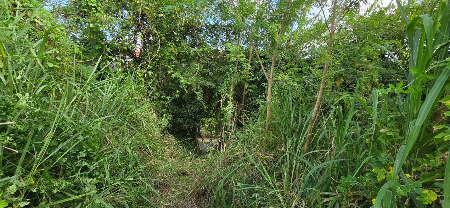 LE VAUCLIN Terrain sur la route des plages 4