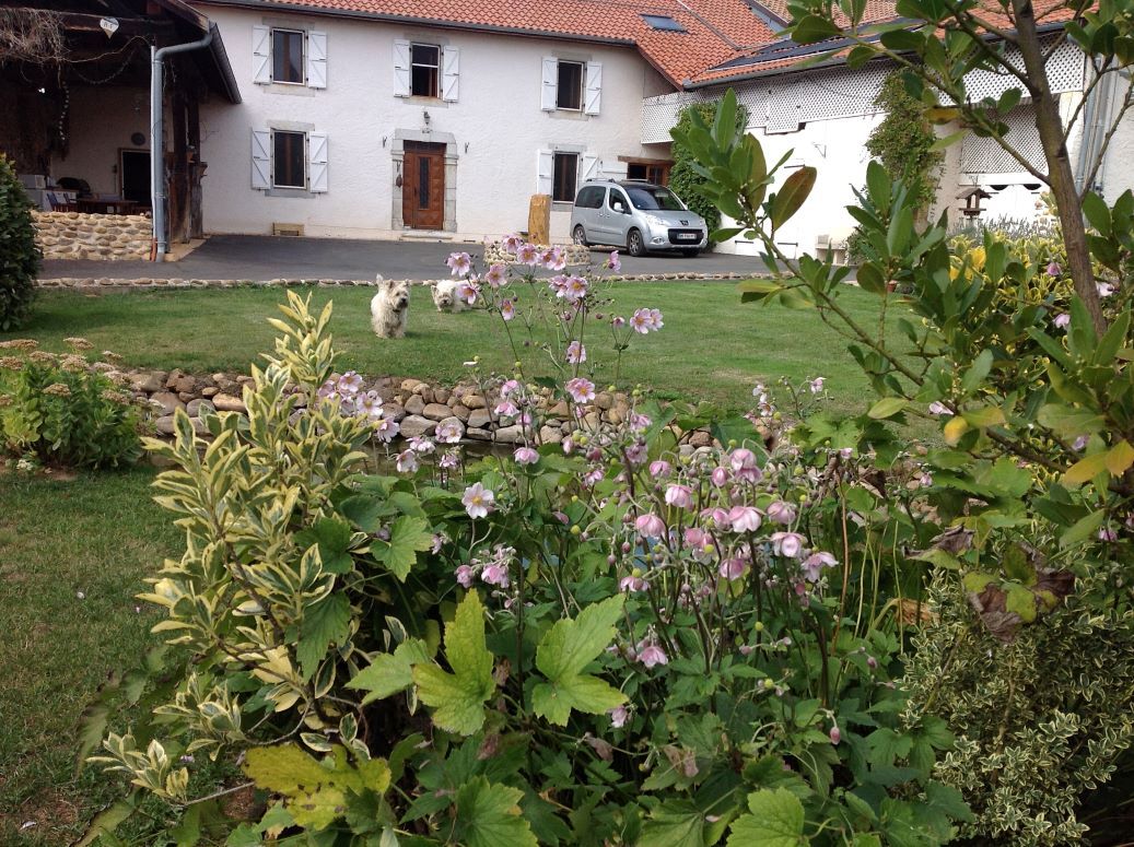 Belle maison de campagne avec piscine au calme