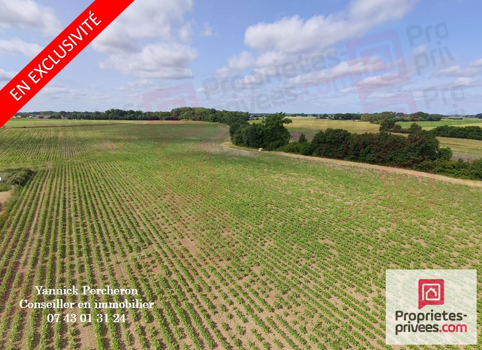 terrain agricole de 5 hectares avec hangar libre à partir du 1er novembre 2026