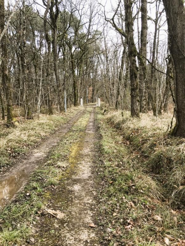 TOCANE-SAINT-APRE Propriété d'agrément sur 40 HA 3