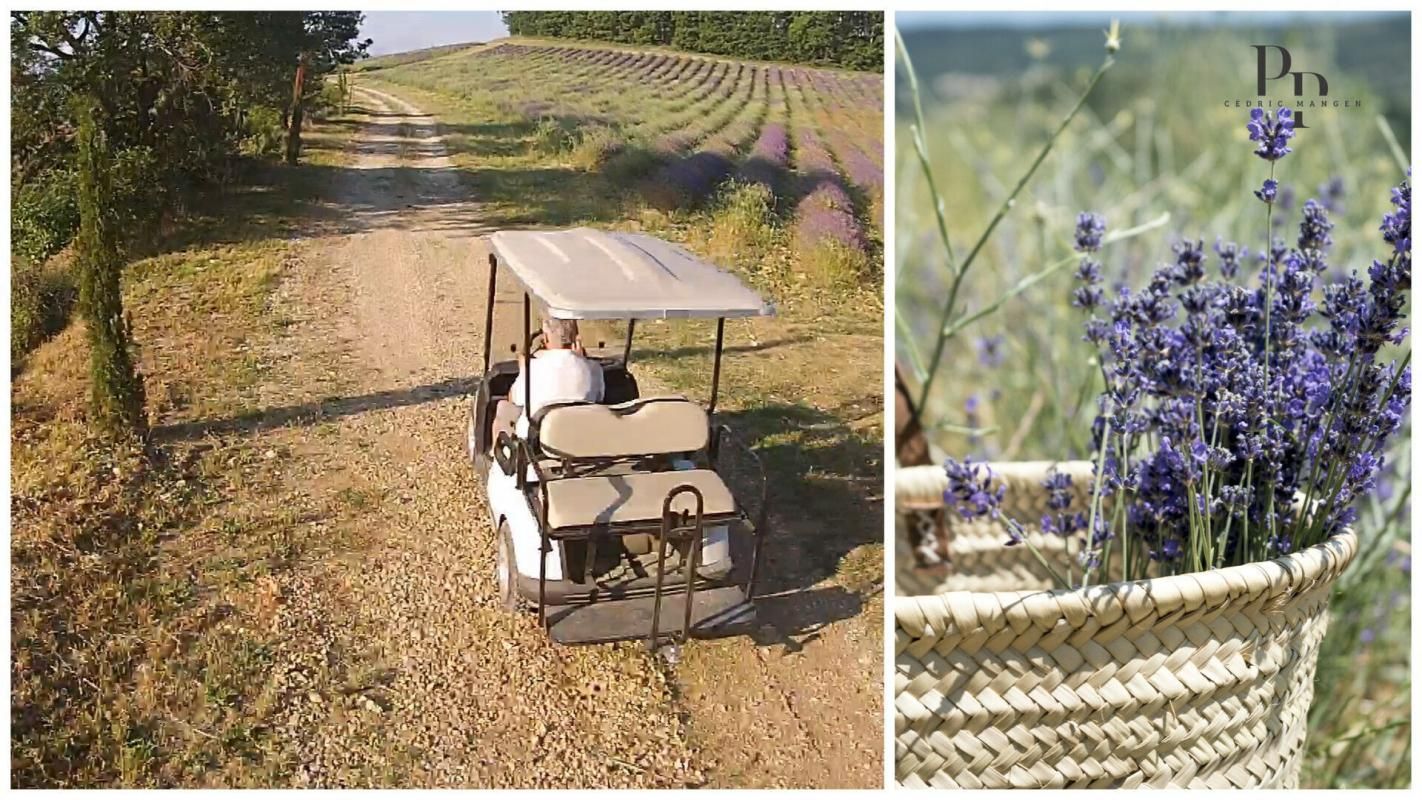 OPPEDETTE LUBERON : Domaine de charme / Activité d'accueil / Exploitation biologique 3