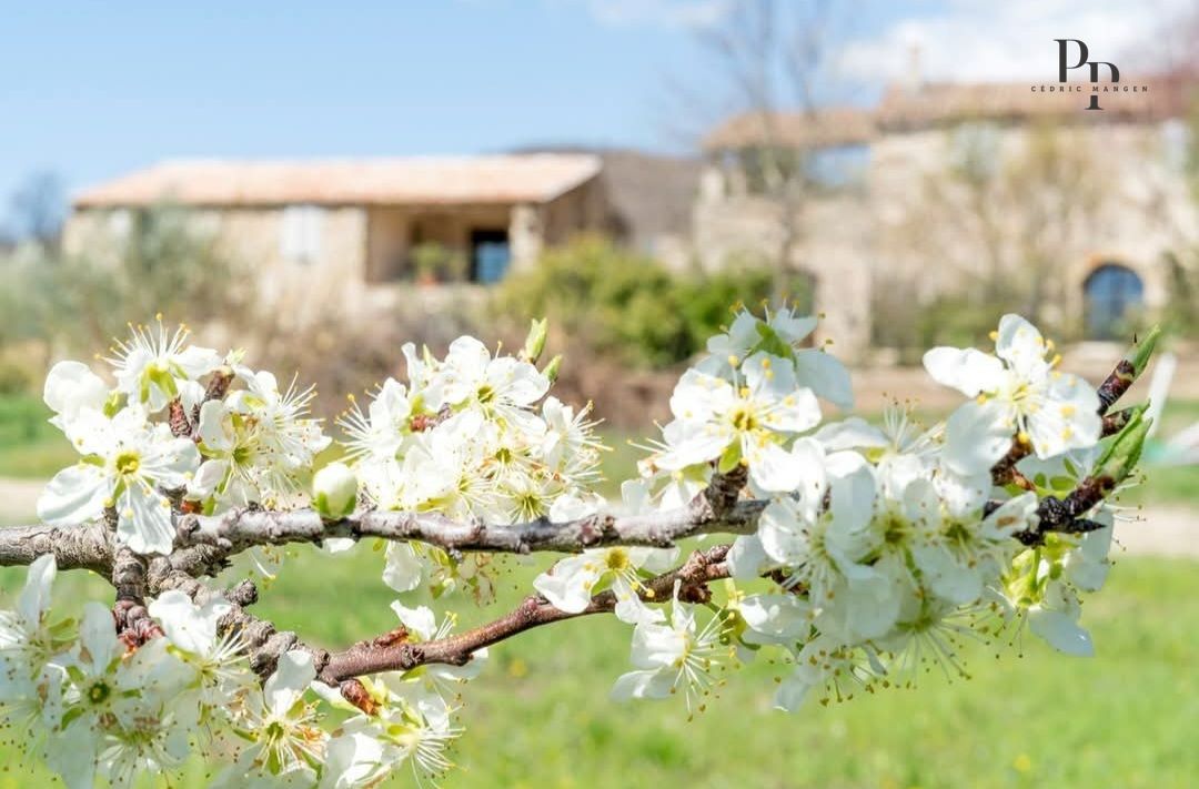 OPPEDETTE LUBERON : Domaine de charme / Activité d'accueil / Exploitation biologique 4