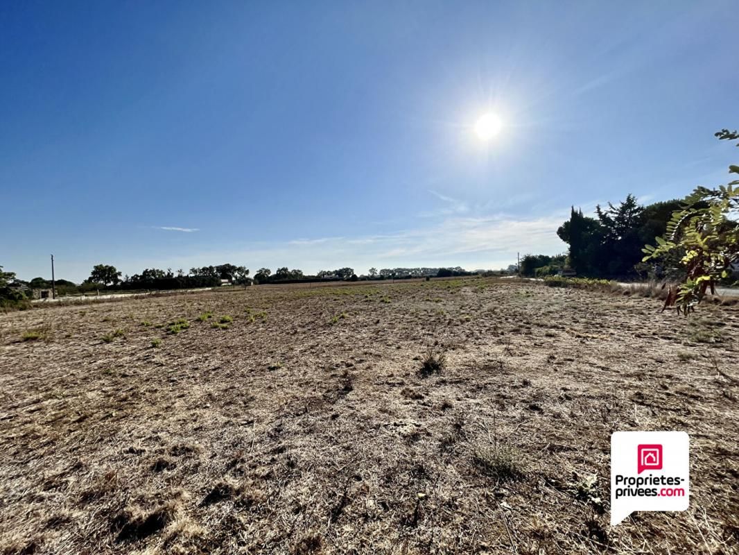 Terrain agricole à Lunel de 4500m² à vendre