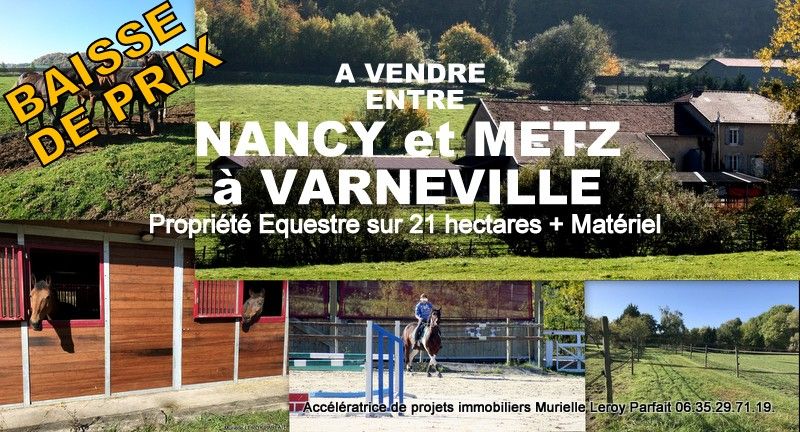 57000 METZ (à 59km du centre) à 55300 VARNEVILLE/Propriété équestre/Maison 237m2/+21ha/30boxes/750000HAI