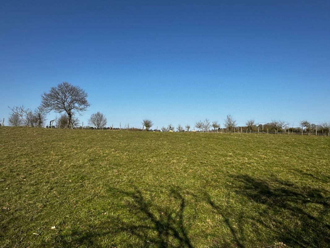 PIPRIAC Maison Pipriac 12 pièce(s) 210 m2 + dépendances + 5500 m² (possibilité + ) 4