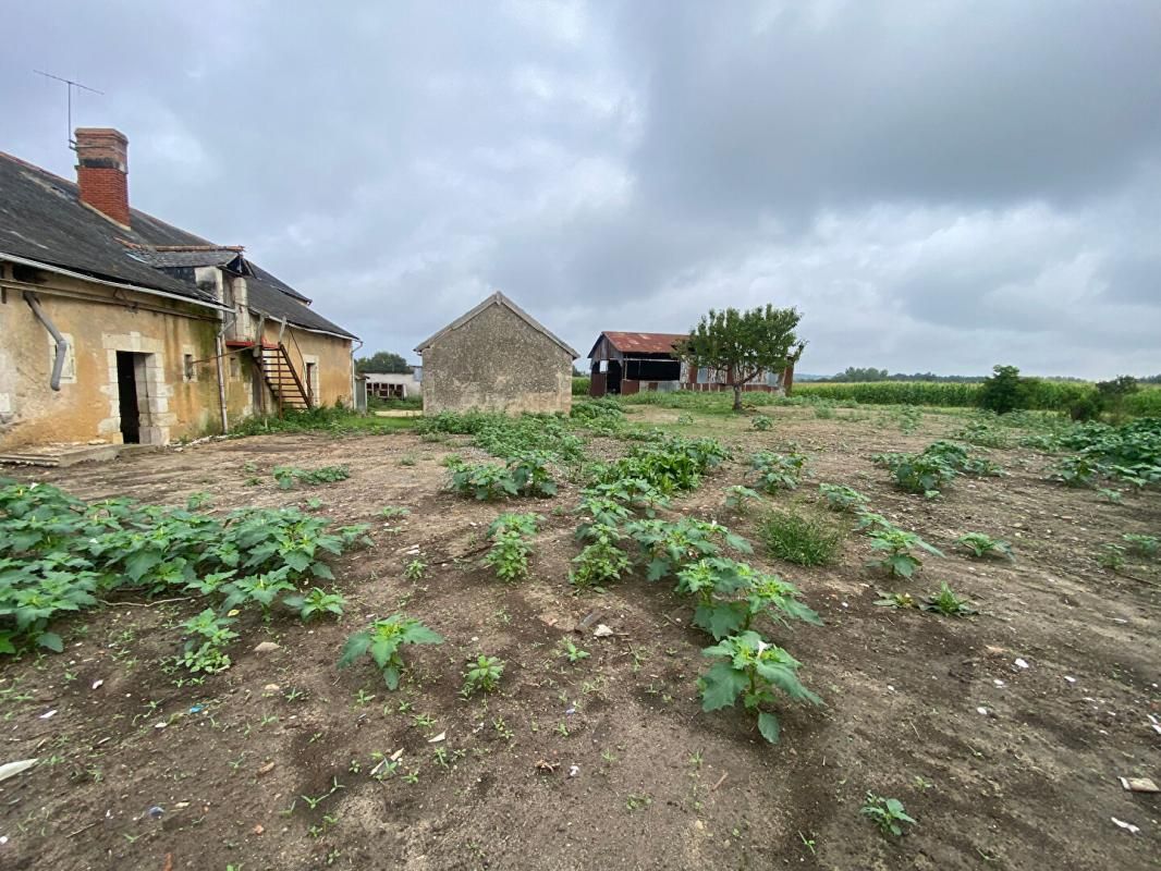 BAUGÉ-EN-ANJOU Maison Bauge En Anjou 10 pièce(s) 326 m2 4