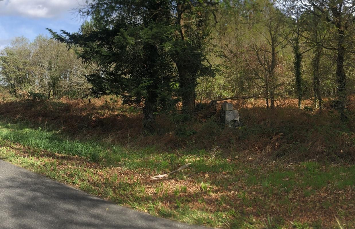 Terrain 8438m2, semi forestier, de loisirs, proche de DAX