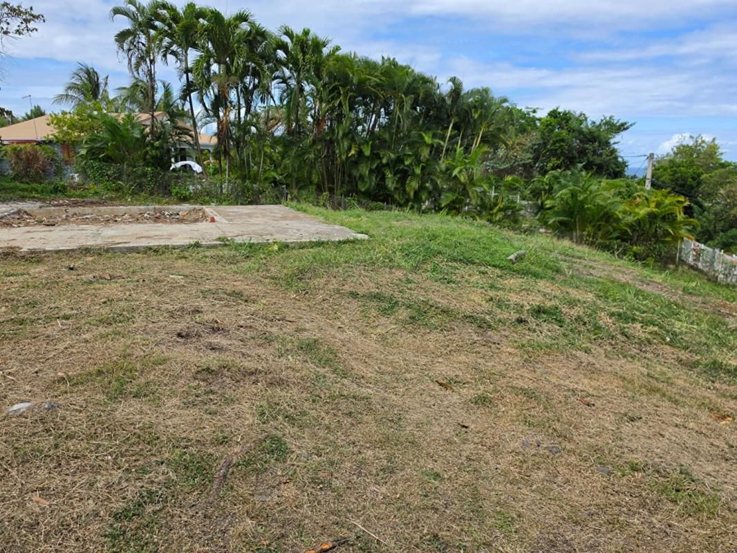 Terrain Le Vauclin 1215 m2