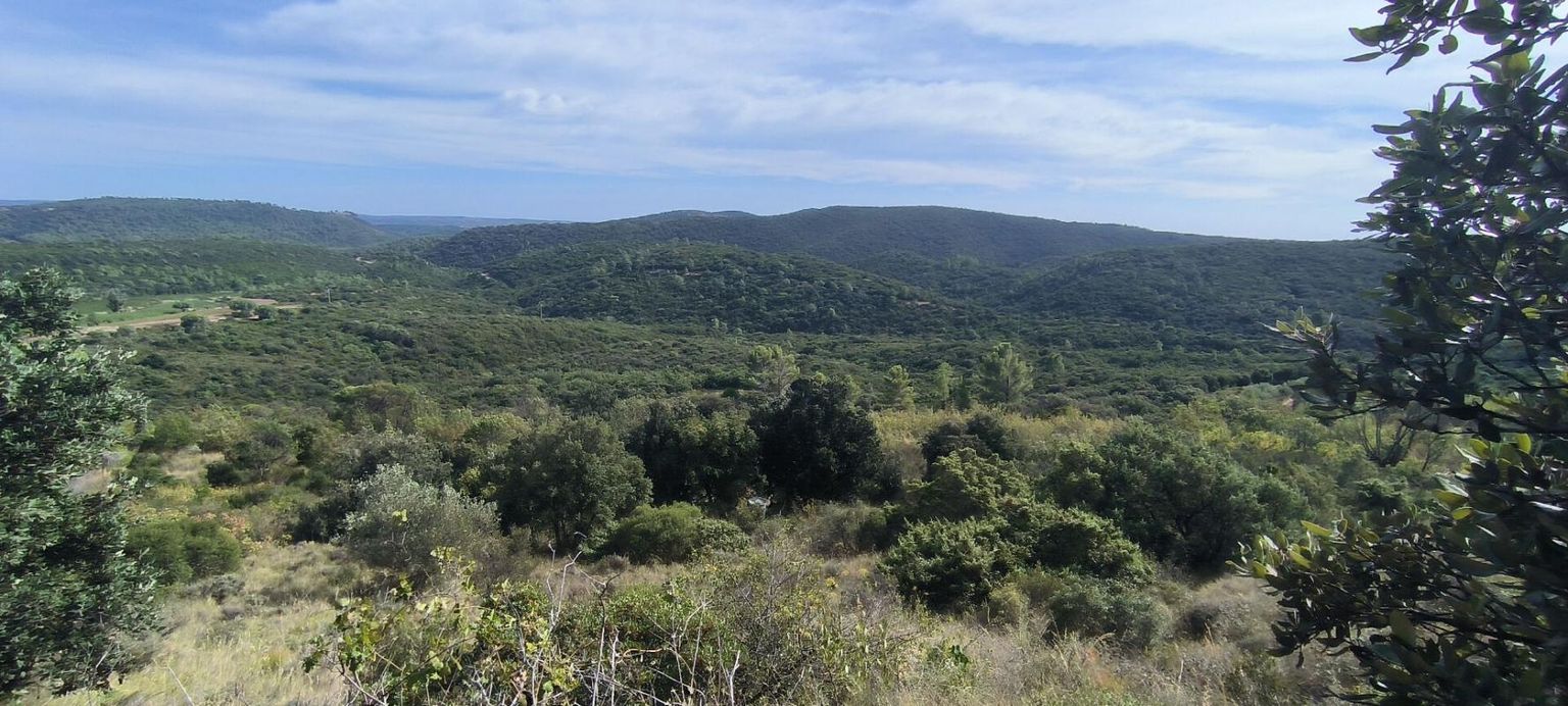 TERRAIN