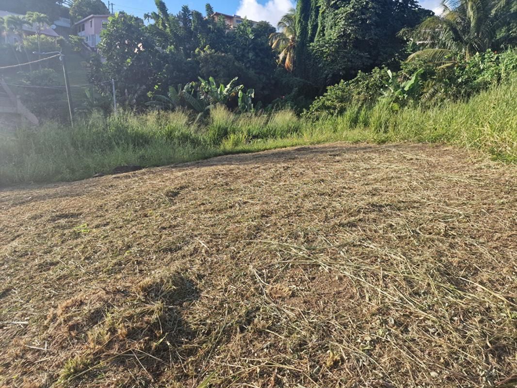 Terrain-Schoelcher-Terreville