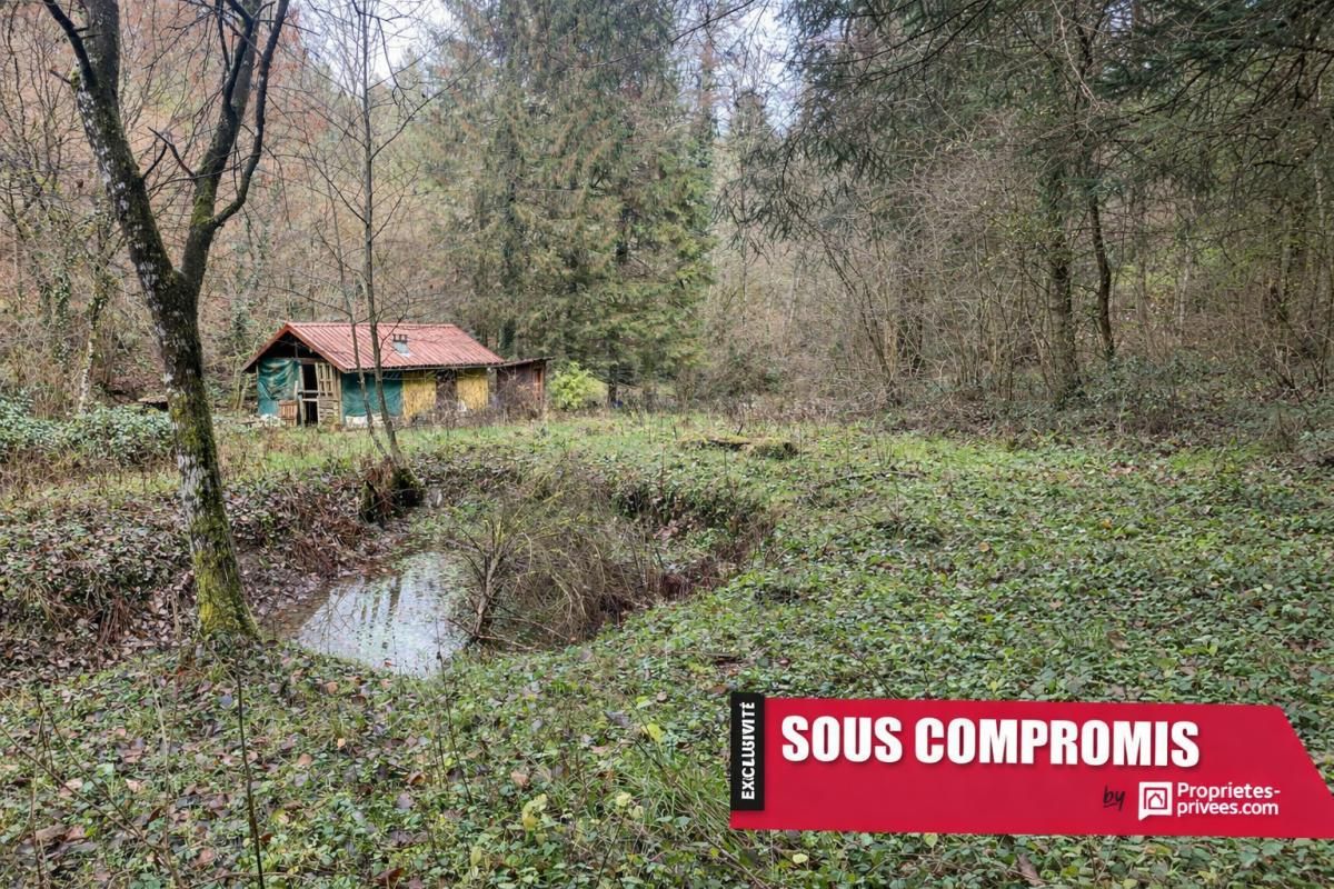 Terrain + cabane + lac naturel , Willer sur THUR 68760