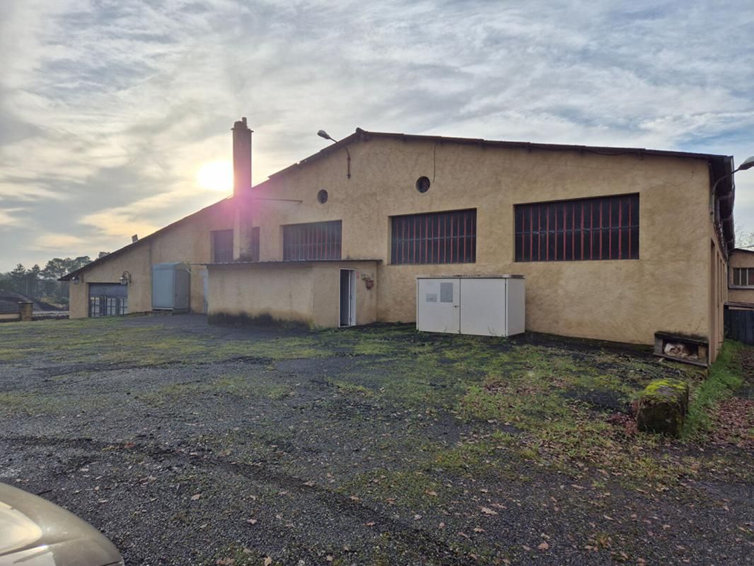 19360 MALEMORT - Local d'activité Malemort 2100 m²