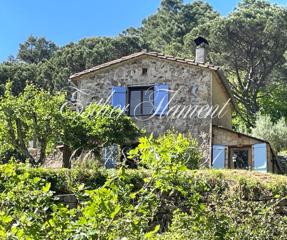 TERRAIN 2000 M2 ET MAZET RENOVE