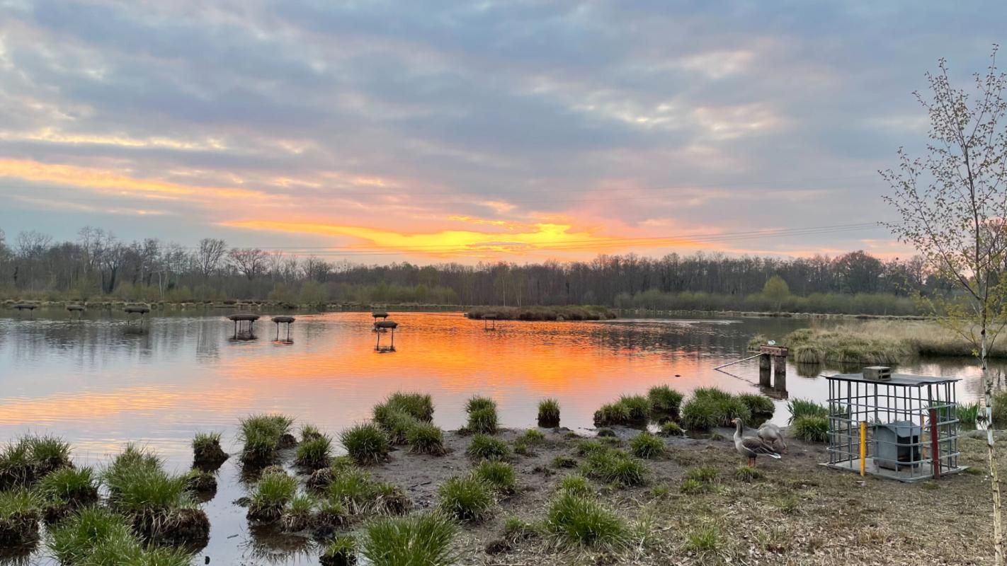 Propriété de chasse Clemont