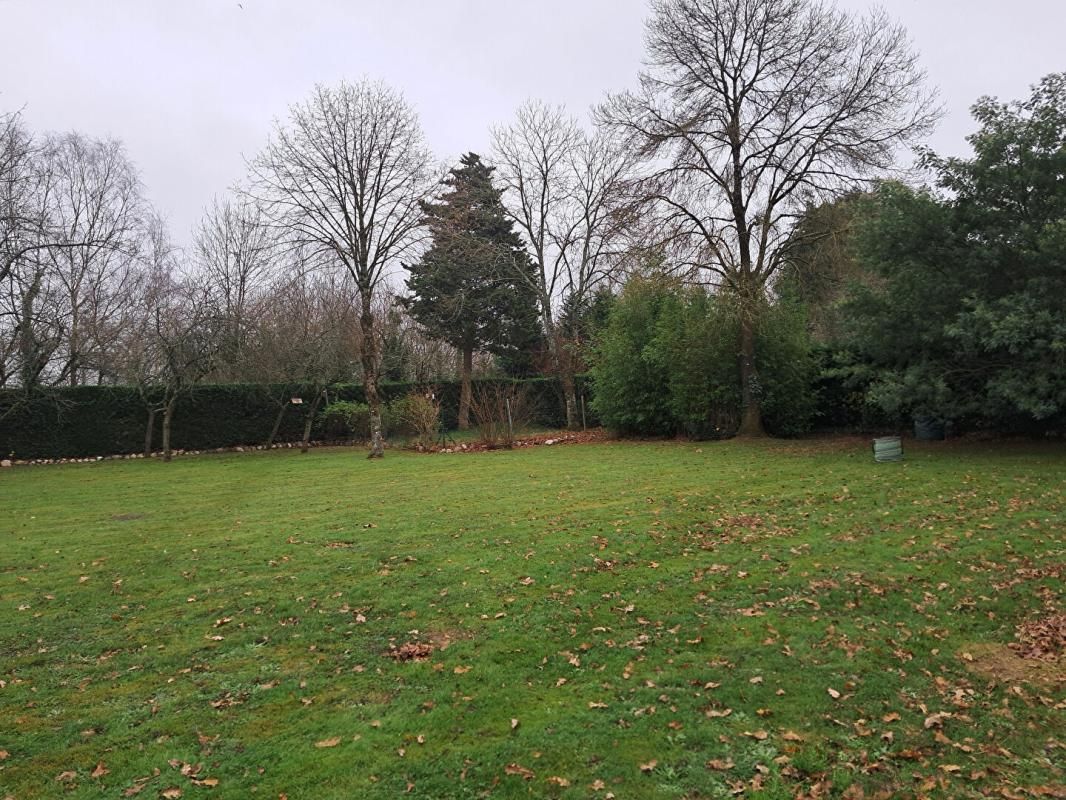 Terrain arboré et constructible