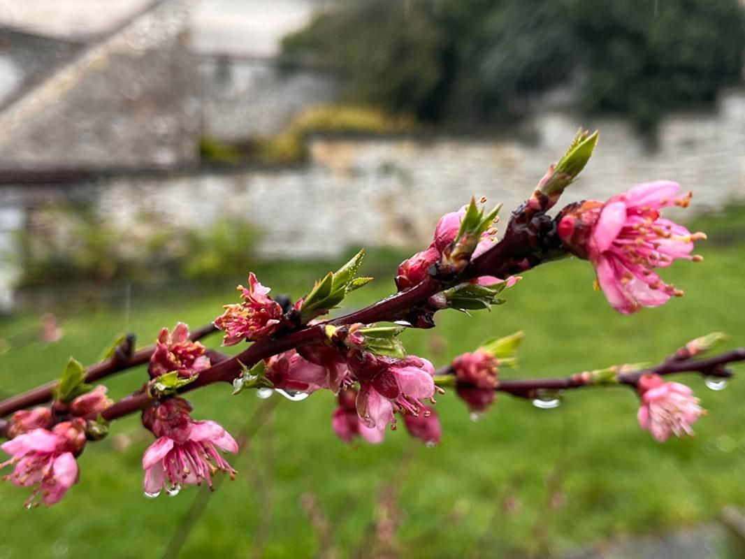 Maison fonctionnelle des années 60