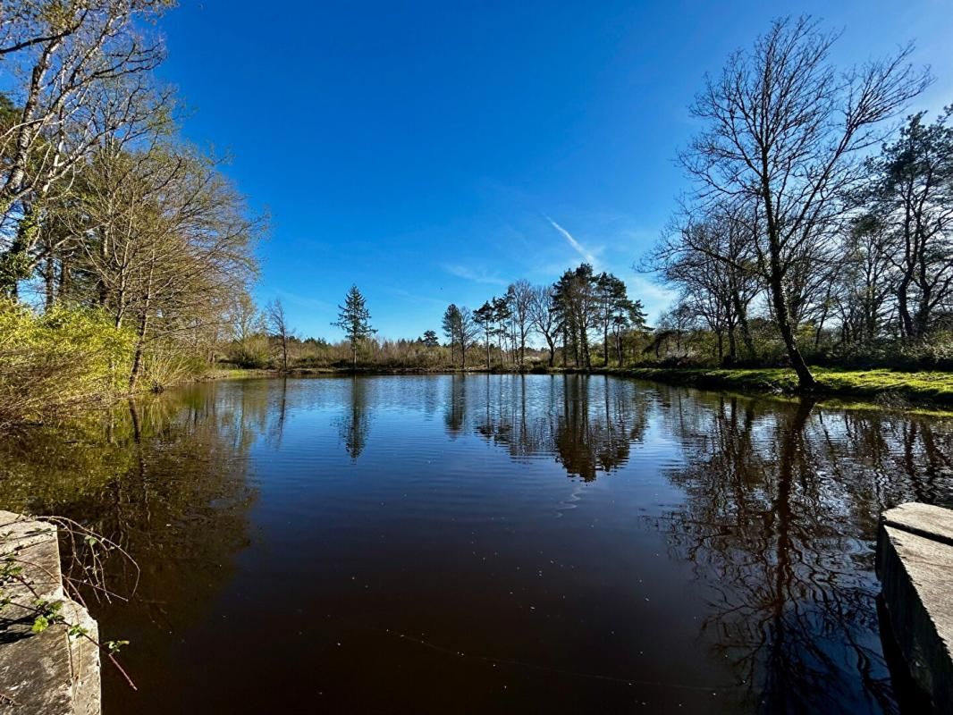 Terrain de loisirs Langon Sur Cher 15515 m2
